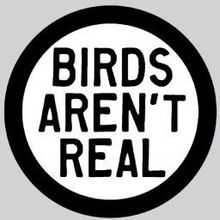Team [GC21] BIRDS AREN'T REAL 's avatar