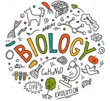 Team Biology 100 Spring 2021's avatar